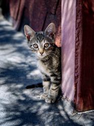 Similar image 21345996