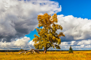 Similar image 21346356