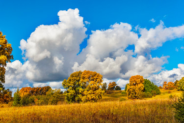 Similar image 21346357