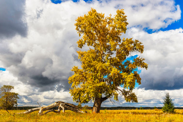 Similar image 21346358