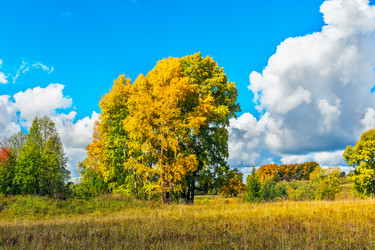 Similar image 21346359