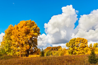 Similar image 21346362