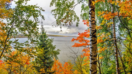 Similar image 21346368