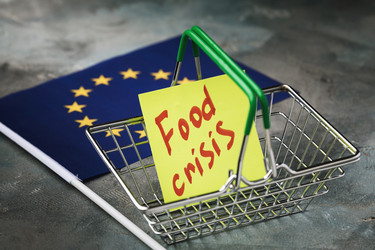 Similar image 21345291