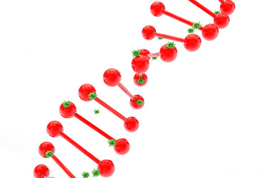 Similar image 21345685