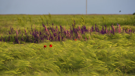 Similar image 21345372