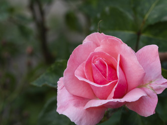 Similar image 21345373