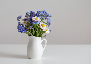 Similar image 21346253