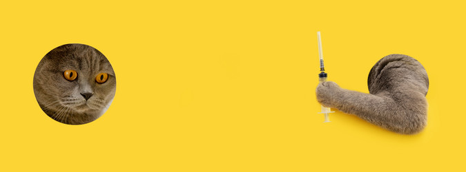 Similar image 21346258