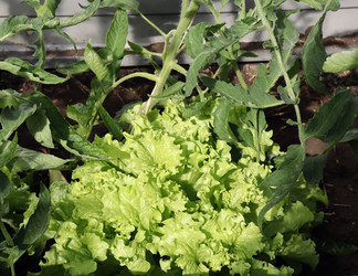 Similar image 21345378