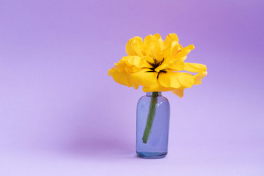 Similar image 21346265