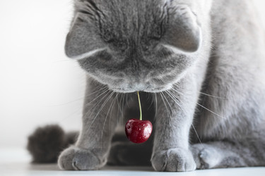 Similar image 21346267