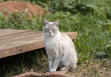 Similar image 21346271