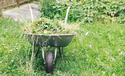 Similar image 21346273