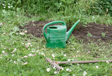 Similar image 21346516