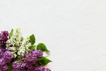 Similar image 21346517