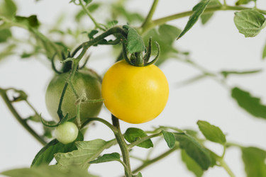 Similar image 21346520