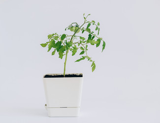 Similar image 21346521