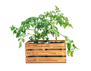 Similar image 21346525