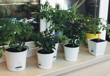 Similar image 21346529