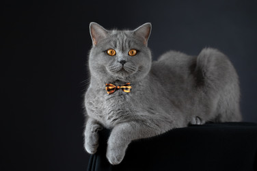 Similar image 21346540