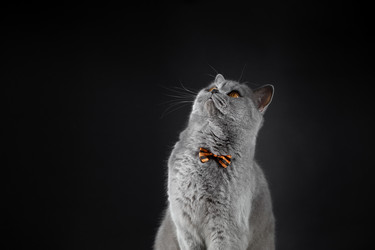 Similar image 21346541