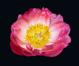 Similar image 21346542