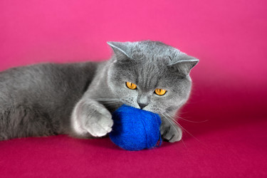 Similar image 21346549