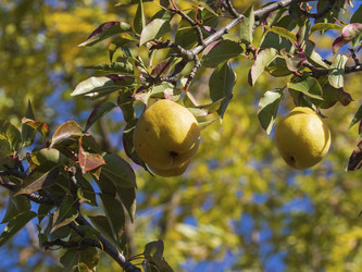 Similar image 21345390