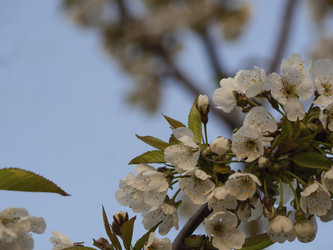 Similar image 21345392