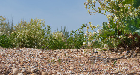 Similar image 21345397