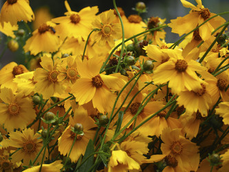 Similar image 21345399