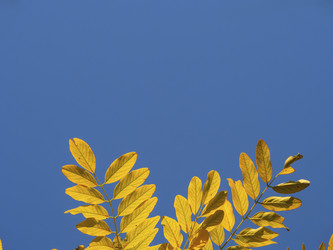 Similar image 21345402