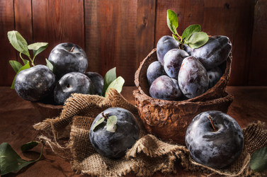 Similar image 21345474