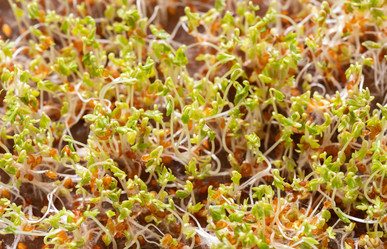 Similar image 21346553