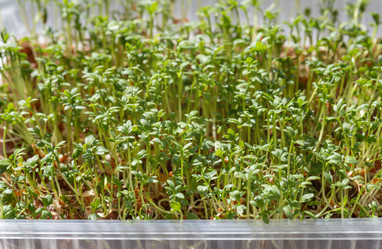 Similar image 21346555