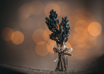 Similar image 21346557