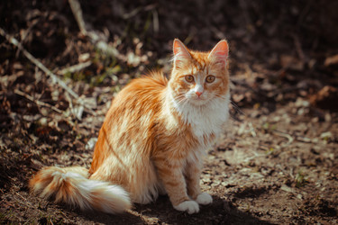 Similar image 21346274