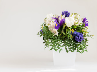 Similar image 21346277