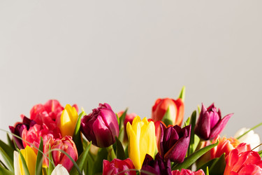 Similar image 21346283