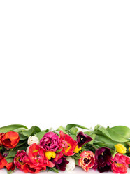 Similar image 21346286