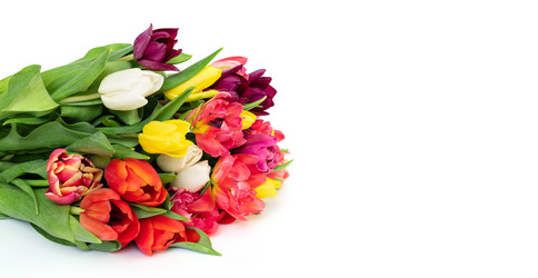 Similar image 21346288