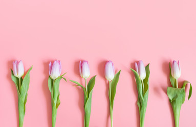 Similar image 21346289