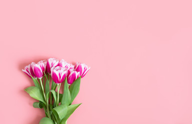 Similar image 21346295