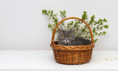 Similar image 21346297