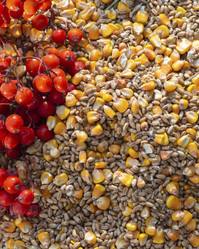 Similar image 21345427