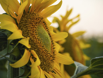 Similar image 21345428