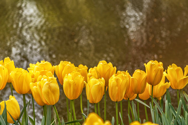 Similar image 21360354