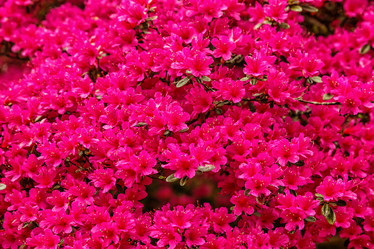 Similar image 21360362