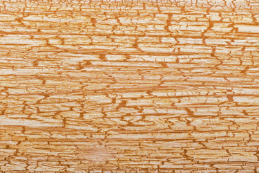 Similar image 21360368